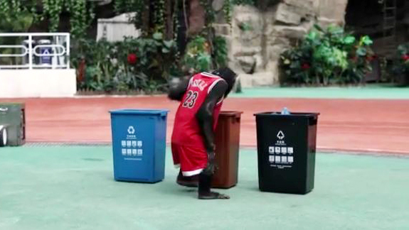 A chimpanzee at the Shanghai Wildlife Park learns how to sort garbage. [Screenshot: China Plus]