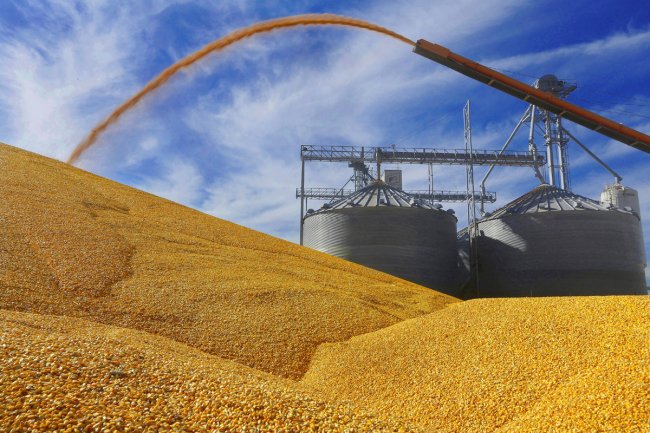 View of a soybean processing plant in the United States. [File Photo: IC]