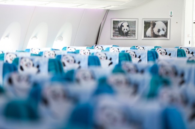 Inside(内部) the panda-themed Sichuan Airlines Airbus A350 at Istanbul Airport in Turkey on Thursday, August 1, 2019. [File Photo: Anadolu Agency via IC/Muhammed Enes Yildirim]