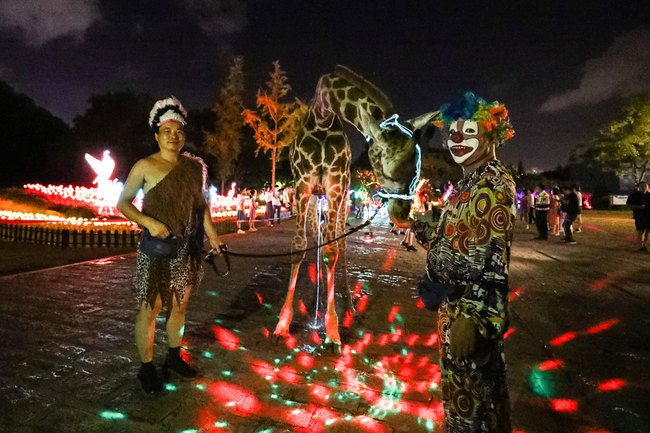 Staff and animals perfom to entertain night visitors at Shanghai Wild Animal Park, which takes the lead in opening overnight in Shanghai, China, 5 August 2019. [Photo: IC]<br><br>