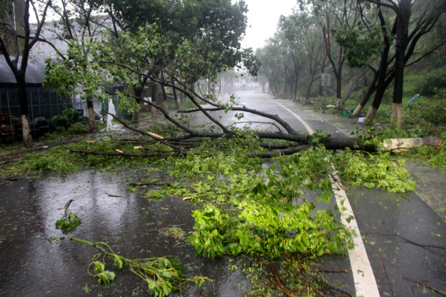 Typhoon Lekima makes landfall in Wenling, Zhejiang province, on Aug. 10, 2019. [Photo: IC]