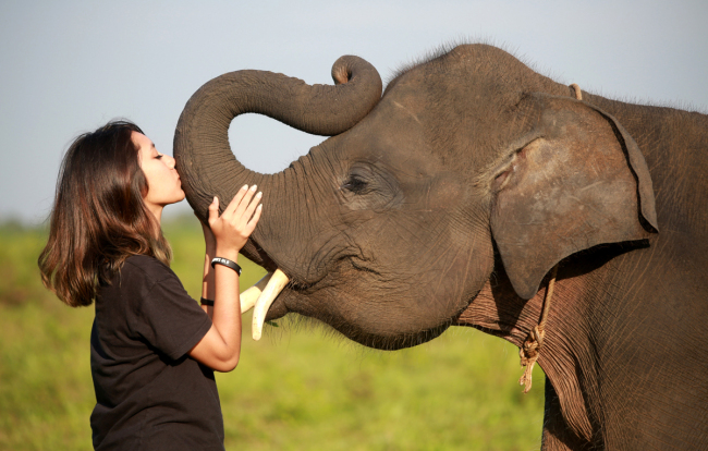 A girl kisses the nose of an elephant in Way Kambas National Park, Lampung, Indonesia, on July 20, 2019. [Photo: INA Photo Agency via IC]
