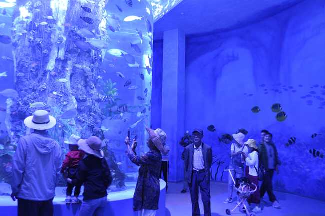 Visitors take pictures at the new aquarium in Xining, Qinghai Province on August 18, 2019. [Photo: IC]