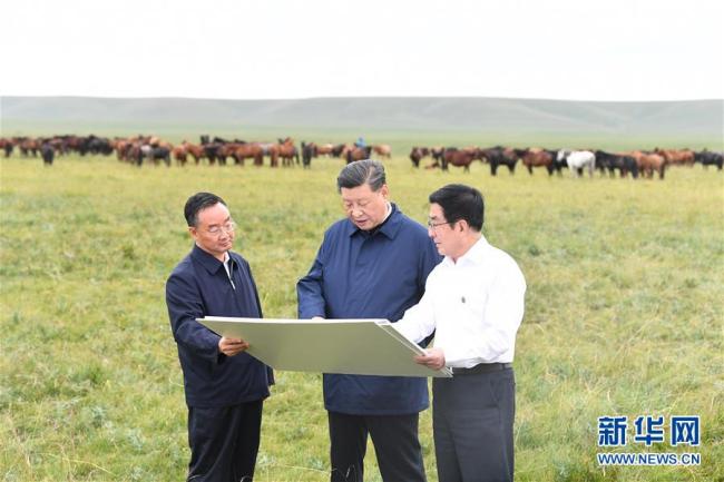 Xi Jinping, general secretary of the Communist Party of China Central Committee, visits a horse ranch during his inspection tour to northwest China's Gansu Province on Tuesday, Aug. 20, 2019. [Photo: Xinhua]  