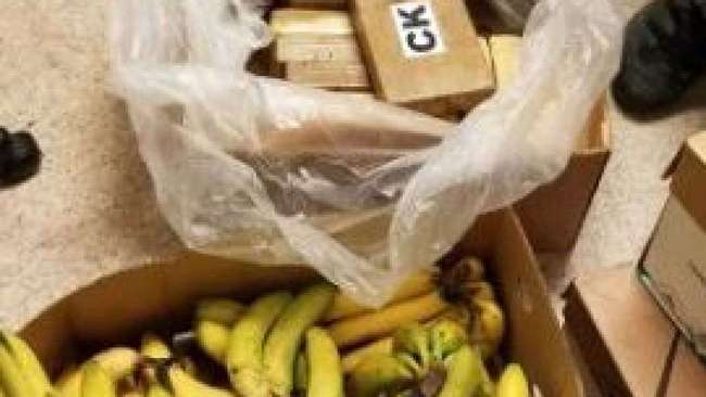 Cocaine was found in banana box shipments. [Photo: King County Sheriff’s Office]