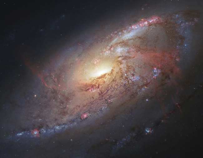 This file image made by the NASA/ESA Hubble Space Telescope shows M106 with additional information captured by amateur astronomers. [File Photo: STScI/AURA, R. Gendler via AP] 