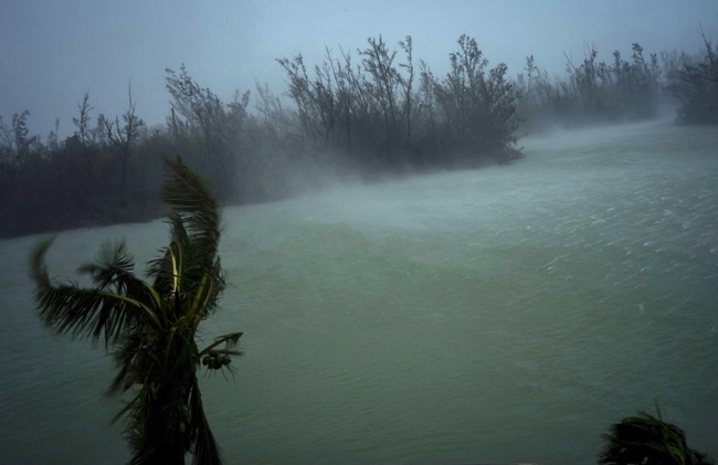 Strong winds from Hurricane Dorian blow the tops of trees and brush while whisking up water from the surface of a canal that leads to the sea, located behind the brush at top, seen from the balcony of a hotel in Freeport, Grand Bahama, Bahamas, Monday, Sept. 2, 2019. [Photo: AP/Ramon Espinosa]