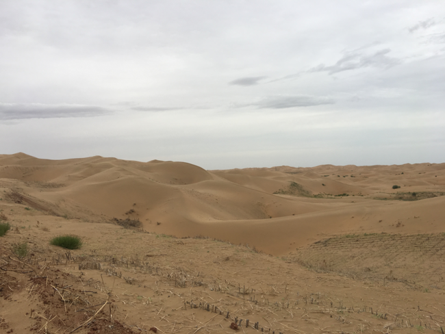 Sand dunes are everywhere in "no man's land" of Kubuqi.[Photo: from China Plus]