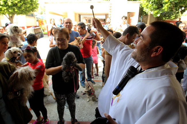 Catholic faithfuls bring their pets to be blessed at the Church of Saint Francis of Assisi, patron saint of animals, whose feast marks World Animal Day in Zapopan, Jalisco state in Mexico, on October 4, 2019. [Photo: AFP]