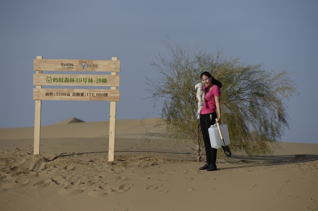 This undated photo shows a woman posing with a willow tree planted to prevent desertification as part of the Ant Forest project, which was granted the United Nations’ Champions of the Earth award in September, 2019. [Photo: IC]