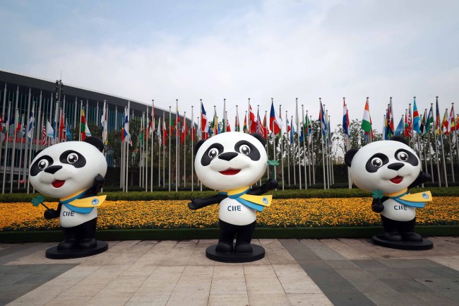Panda mascots for CIIE (China International Import Expo) are on display outside the exhibition center for the 2nd China International Import Expo in Shanghai, China, 29 October 2019. [Photo: IC]