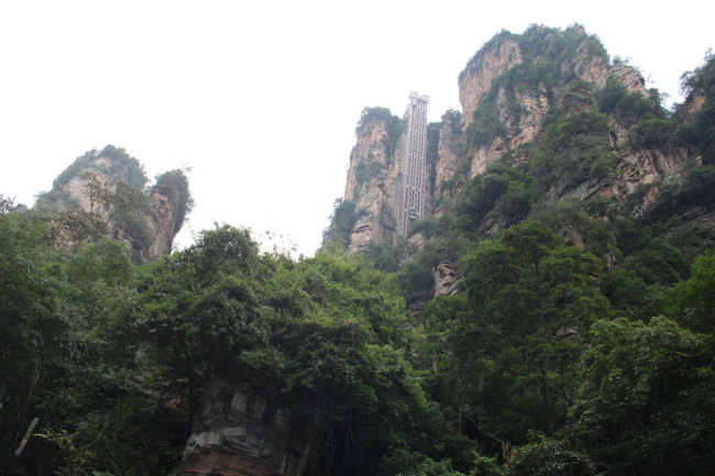 The Bailong elevator and greeneries around Mount Tianzi in Wulingyuan Scenic Area is 326 meters high and also the world's highest outdoor elevator. [Photo courtesy of Melsam Ojha]
