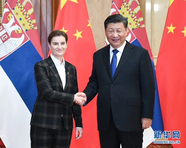 Chinese President Xi Jinping meets with Serbian Prime Minister Ana Brnabic in Shanghai, Nov. 4, 2019. [Photo: Xinhua]
