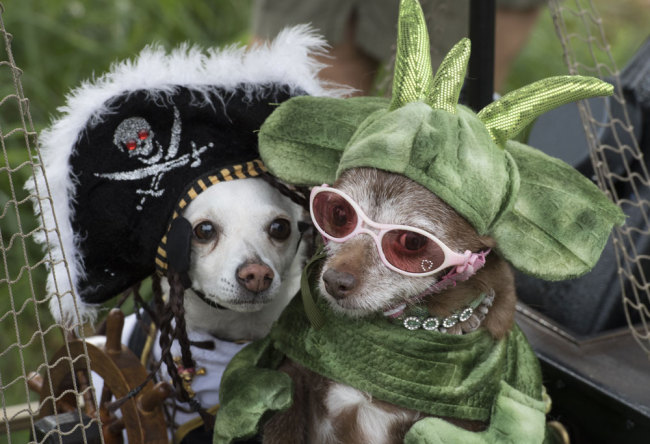 File Photo: Dogs are dressed up during the annual Haute Dog Howl'oween parade in Long Beach, California, on October 27, 2019. [Photo: AFP/Mark Ralston]