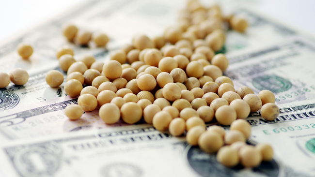 U.S. soybeans [File Photo: VCG]