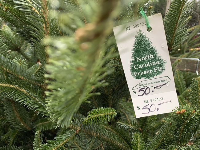 In this Monday, Dec. 9, 2019, photo, a North Carolina fraser fir Christmas tree is for sale in Lenoir, N.C. A Christmas tree shortage is being blamed on the Great Recession. Poor sales a decade ago, limited the number of trees planted, which are being harvested this year. [Photo: AP/Sarah Blake Morgan]