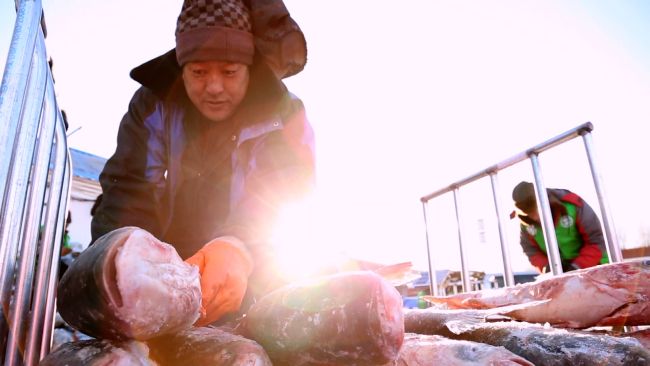 Workers categorizing fish by size and weight at the Chagan Lake in Jilin Province, northeast China. [Photo: CGTN]