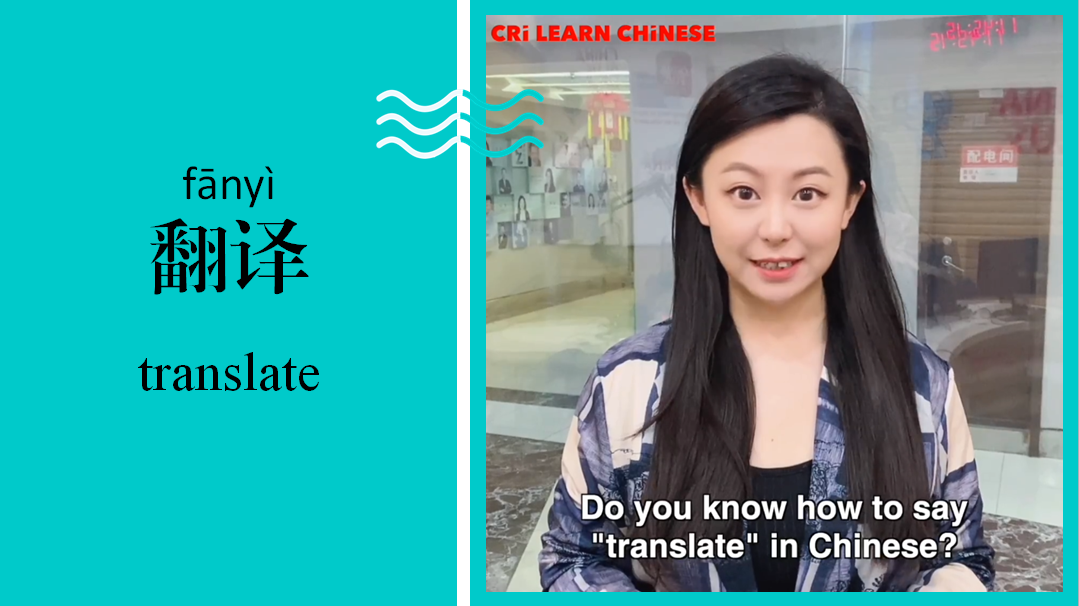 翻译 Translate
