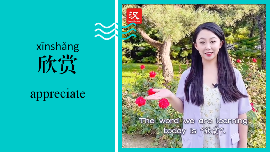 欣赏 Appreciate