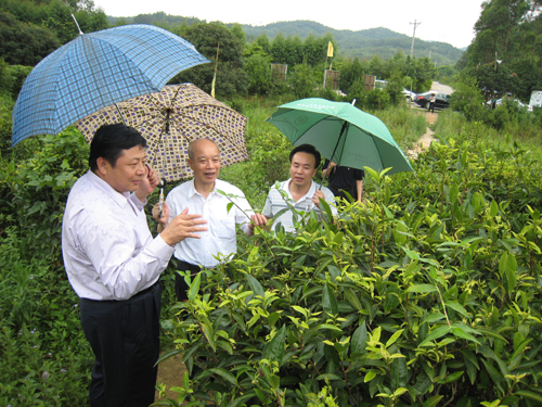 “两会”特别访谈：民生无小事 ——专访全国政协委员、广东宏伟集团有限公司董事长陈伟忠