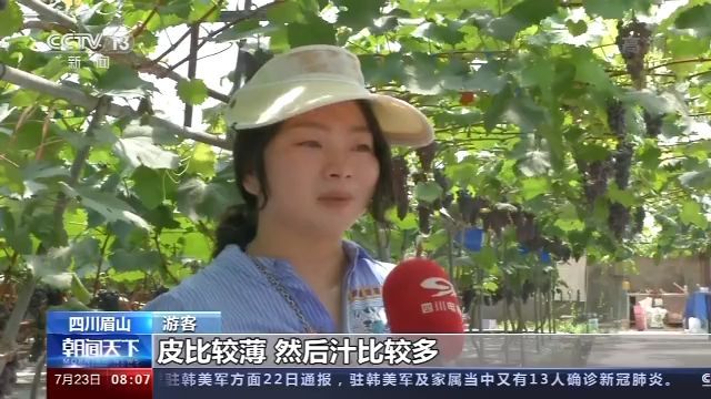 Díky průmyslovému odvětví s hrozny v hodnotě miliardy yuanů, vesnice Guoyuan nyní nejen realizovala vymanění se z chudoby celé vesnice, čistý roční příjem na hlavu také dosáhl 31 tisíc, což je 15násobek příjmu před pěstováním hroznů. Pokud jde o budoucí rozvoj, jak vedoucí tak vesničané mají delší a větší cíle. Li Yongwei řekl, že dále vesnice Guoyuan vytvoří svou vlastní kultivační základnu a vyvine své vlastní odrůdy.