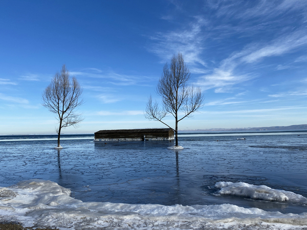 Koncem prosince je jezero Qinghai (Čching-chaj), největší vnitrozemské jezero v Číně, částečně zamrzlé. Fotografie: Chen Meiling (Čchen Mej-ling) / China Daily
