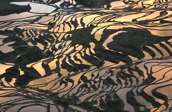 Na snímku je krásný pohled na kaskádové rýžové terasy v okresu Yuanyang (Jüan-jang) v provincii Yunnan (Jün-nan). [Fotografie: tisková agentura Nová Čína / Xinhua]