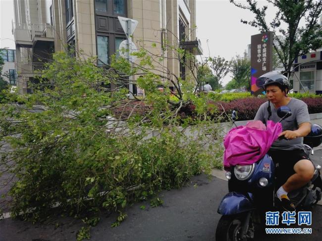 Tifón María toca tierra en el este de China