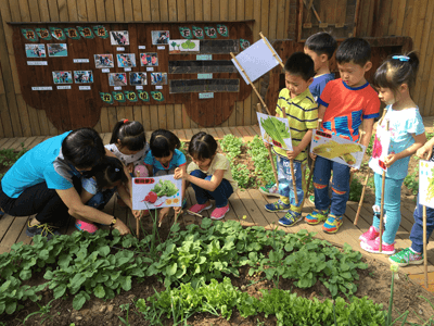 Remise de prix aux jeunes jardiniers à Beijing