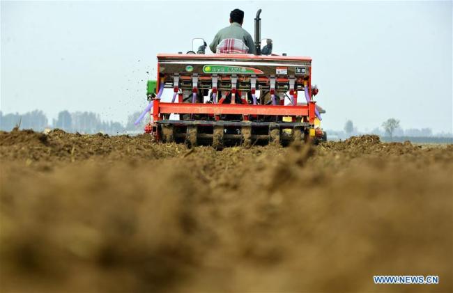    Chine : ensemencement des champs de blé au Shandong