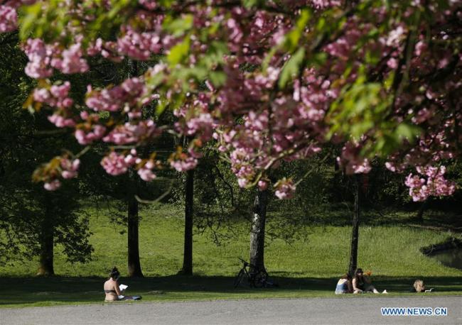 Paysage printanier dans un parc à Bruxelles, en Belgique, le 19 avril 2018. (Photo : Ye Pingfan)