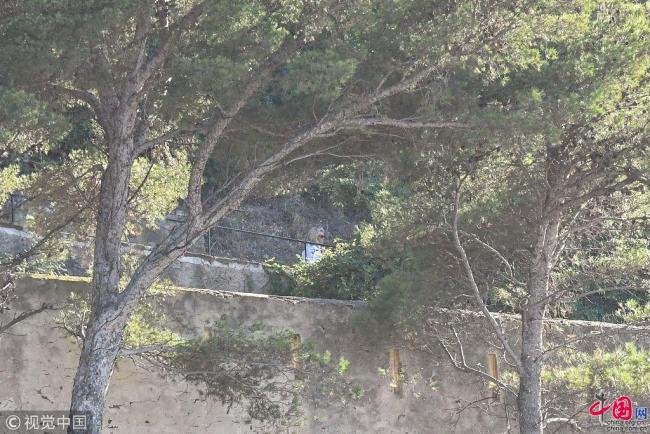 Brigitte Macron, Première dame française, a été vue le 12 août se promener en passager sur le dos d'un jet ski, au large du Fort de Bregançon, la résidence présidentielle d'été officielle, à Bormes-les-Mimosas, où Emmanuel et Brigitte Macron sont en vacances ces jours-ci.