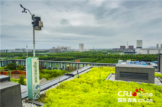 Le toit vert de la construction de la ville-éponge de Fengxi (photographe : Liu Qiang)