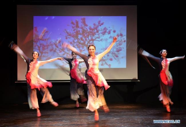 Turquie: le public de l'Université d'Istanbul conquis par un spectacle de kung-fu chinois