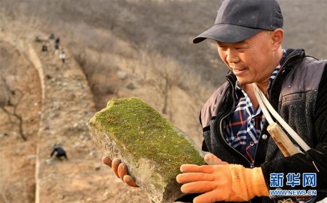 Début des travaux de maintenance de la Grande Muraille dans le district de Yanqing
