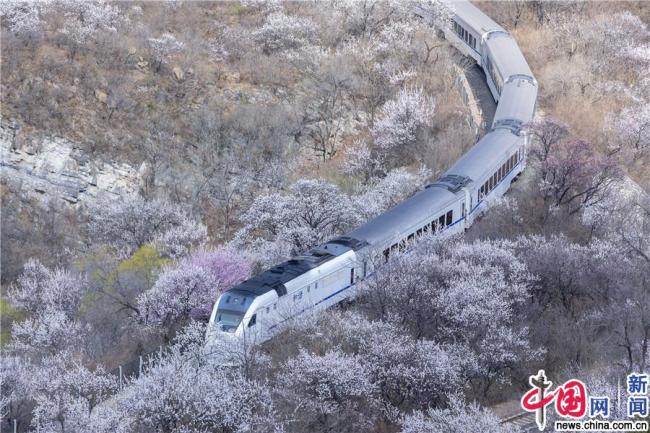 Beijing : « les trains qui roulent vers le printemps » font le buzz sur Internet