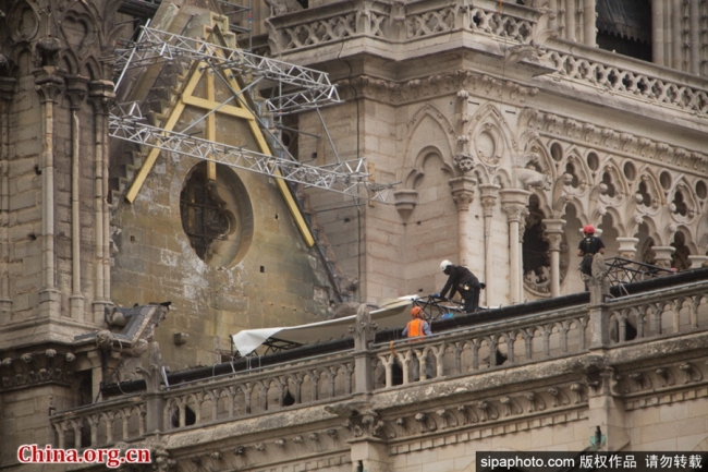 Le 23 avril 2019, les ouvriers placent des bâches géantes sur la cathédrale Notre-Dame de Paris pour protéger son intérieur de la pluie prévue à Paris. [Photo / Sipa]
