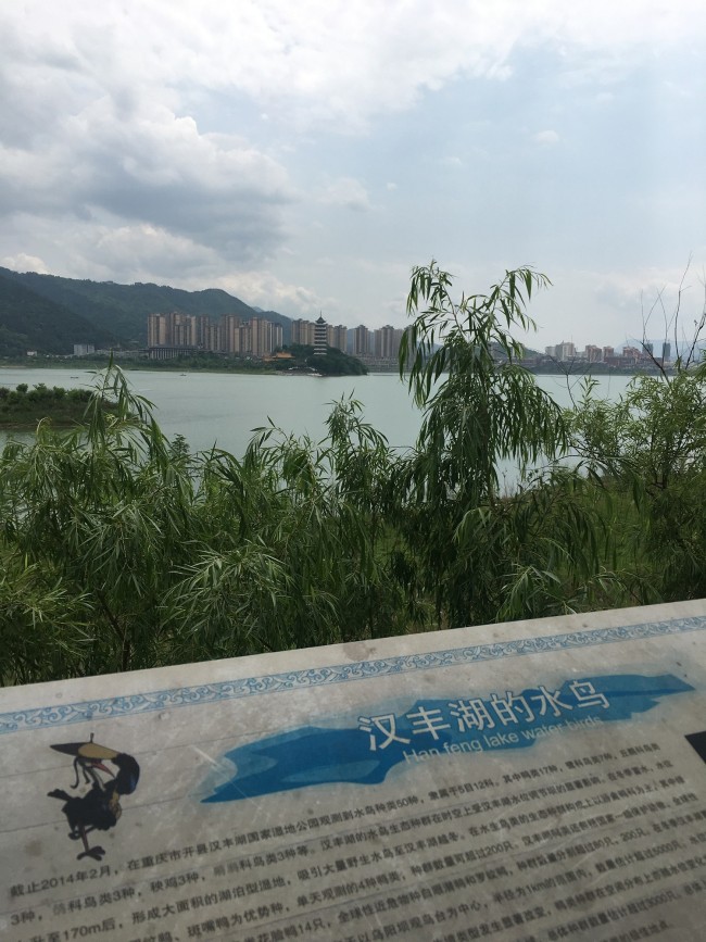 Kaizhou à Chongqing : créer un bon environnement pour protéger les oiseaux migrateurs