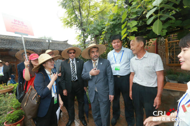 Les invités étrangers visitent le village Zhang
