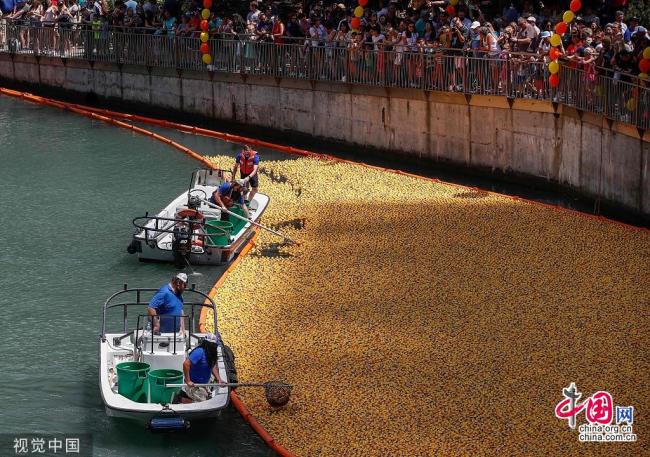 Chicago organise sa « course » annuelle de canards jaunes