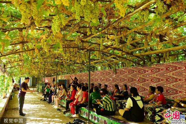 Xinjiang : la récolte des raisins attire de nombreux touristes