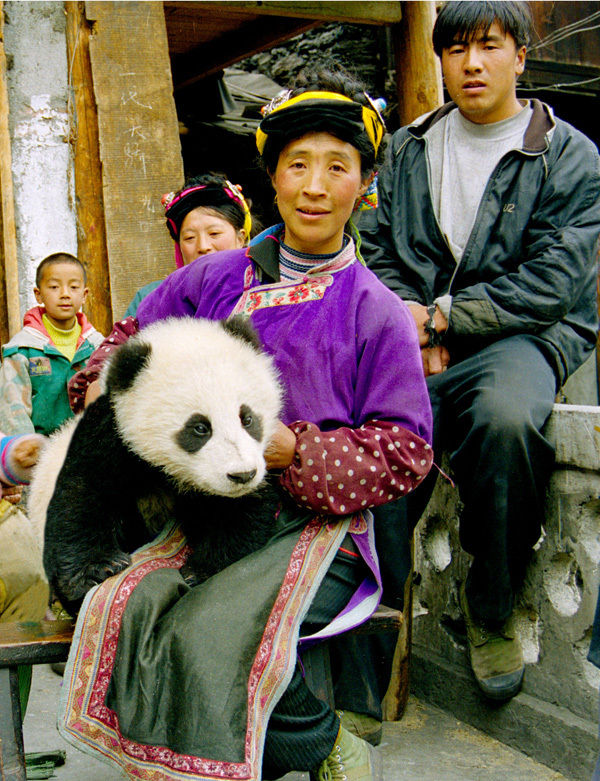 Les villageois locaux s'occupent bien des pandas géants