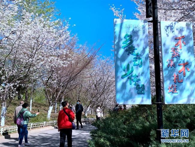 Photo prise le 28 mars, montrant des panneaux d'affichage au parc Yuyuantan, à Beijing. Ces derniers jours, la capitale a renforcé la gestion des parcs pour réduire l'afflux de visiteurs.