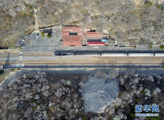 Photo aérienne prise le 8 avril, montrant un train stationnant à la gare de Qinglongqiao sur la ligne de chemin de fer Beijing-Zhangjiakou, à Beijing. Chaque année, durant la saison de la floraison des fleurs, cette gare centenaire attire de nombreux visiteurs. (Photos: Zhang Chenlin/Xinhua)