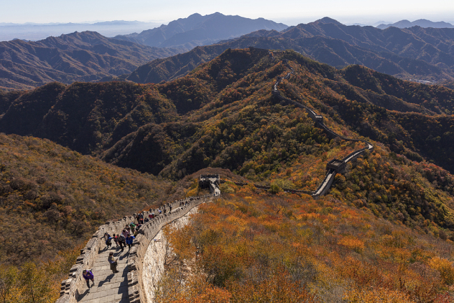 Photo aérienne prise le 24 octobre, montrant une vue de la section de Mutianyu de la Grande Muraille à Beijing. En automne, la Grande Muraille de Mutianyu présente un charme fascinant avec son climat agréable et ses paysages automnaux magnifiques. 