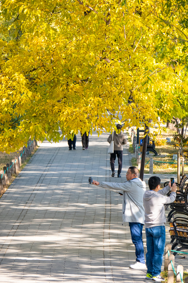 Des touristes admirent le paysage d'automne au Palais d'été à Beijing, capitale de la Chine, le 23 octobre 2020. 