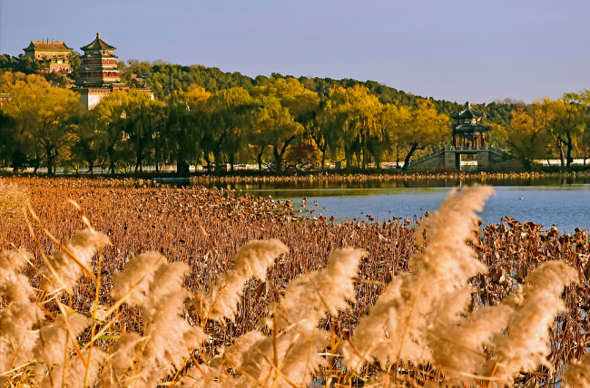 Cette photo prise le 9 novembre 2020 montre le paysage du début de l’hiver au Palais d’été dans la capitale chinoise, Beijing. 