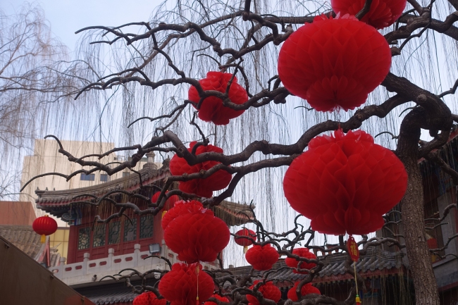 A l'approche du Nouvel An chinois, toute la Chine se plonge dans une atmosphère festive.(Photo/CFP)