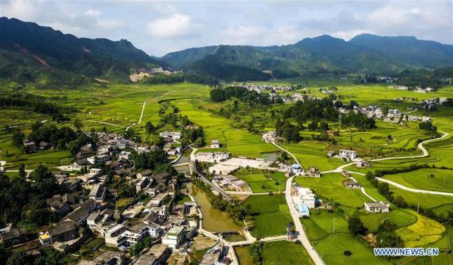 Η εναέρια φωτογραφία που τραβήχτηκε στις 19 Αυγούστου 2020, δείχνει μια άποψη του χωριού Τσουιγουέι της κομητείας Λονγκλί, στην αυτόνομη περιφέρεια Τσιενάν Μπουγί-Μιάο στην επαρχία Γκουιτζόου της νοτιοδυτικής Κίνας.