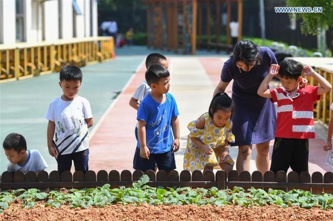 Μια δασκάλα βοηθά τους μαθητές να καλλιεργήσουν στον κήπο ενός νηπιαγωγείου στην Τσανγκσά, στην επαρχία Χουνάν της κεντρικής Κίνας, στις 2 Σεπτεμβρίου 2020.